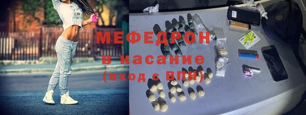 индика Гусев