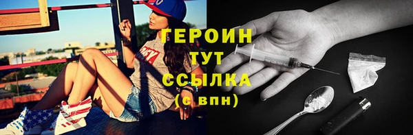 индика Гусев