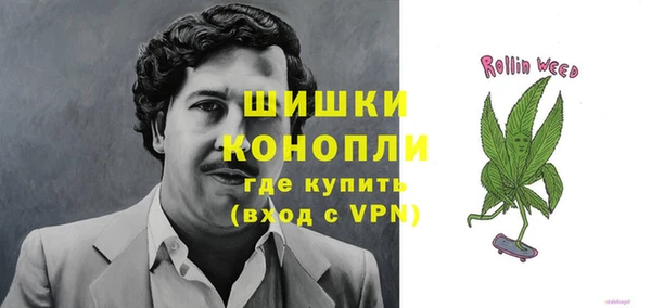 ПСИЛОЦИБИНОВЫЕ ГРИБЫ Гусиноозёрск