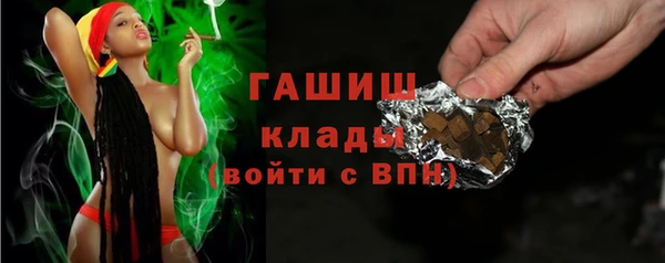 индика Гусев