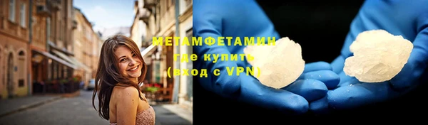 индика Гусев