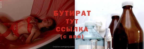 индика Гусев