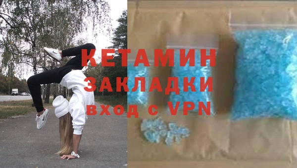 индика Гусев