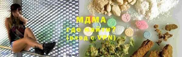 индика Гусев