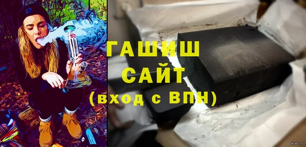 индика Гусев