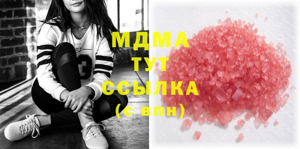 индика Гусев