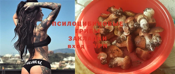 ПСИЛОЦИБИНОВЫЕ ГРИБЫ Гусиноозёрск