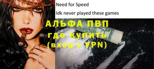 индика Гусев