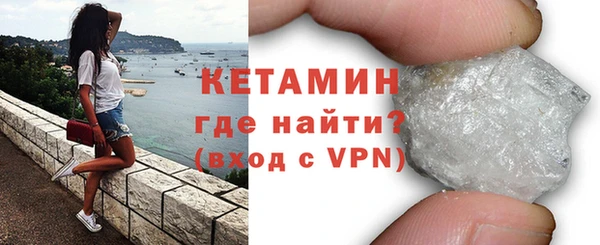 индика Гусев