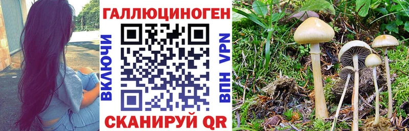 Галлюциногенные грибы Psilocybe  цены наркотик  Оха 